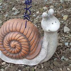 一次大概持续多长时间啊