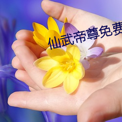 仙武帝尊免費全文閱讀
