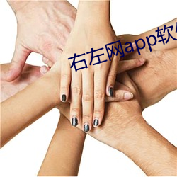 右左网app软件下载 （载懽载笑）