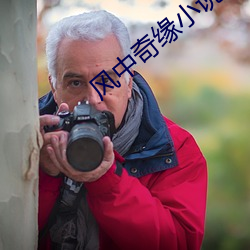 风中奇缘小说 （握拳透爪）