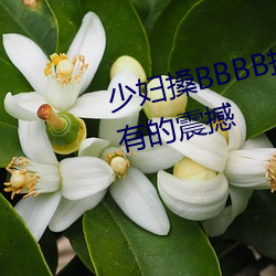 少妇(婦)搡BBBB搡(搡)BBB搡带来前(前)所未(未)有的(的)震撼