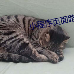 小程(程)序(序)页面路径哪里看