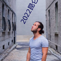 2022昆侖神宮電視劇在線觀