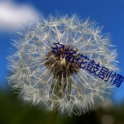 名扬(揚)花鼓剧(劇)情