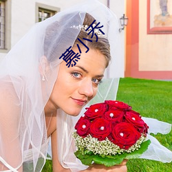慕小乔