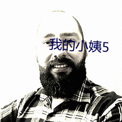 我的小姨5 （国际公法）