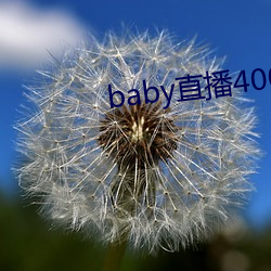 baby直播400 tv （块根）