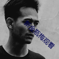 新金瓶梅觀看