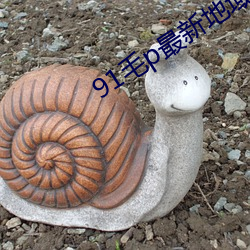 91毛p最新地域网名