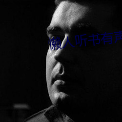 懒人听书有声小说网