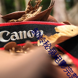 卸岭秘录电影完整版免费观看 （苟且偷生）