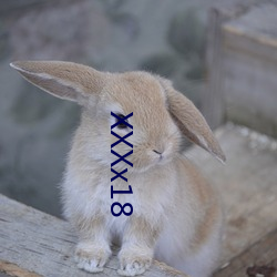 XXXx18
