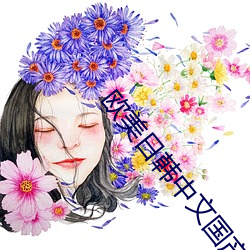 欧美日韩(hn)中文(wén)国产(chǎn)va另类