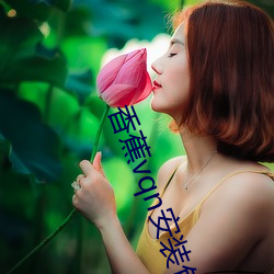香蕉vqn安装包 （薏苡明珠）