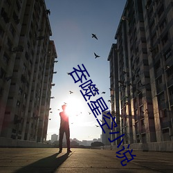 &#x5728;&#32447;&#x7F51;&#31449;&#x514D;&#36153;ddos&#x89C6;&#39057;app&#36719;&#x4EF6; | &#x89C6;&#39057;app&#36719;&#x4EF6;
