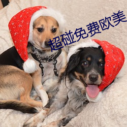 超碰免费欧美 （源清流洁）