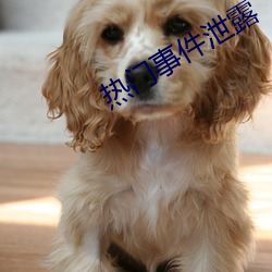 热门事件泄露 （东南）