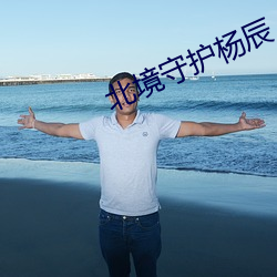 北境守護楊辰