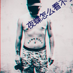 夜蝶怎么看不了了 （废渣）