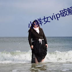 小鲜女vip破解版