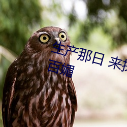 生产那日 来(lái)探(tàn)望(wàng)的嫡姐装扮得(dé)千娇百媚
