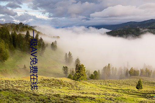 一级AV免费在线 （画院）