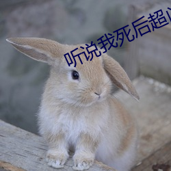 聽說我死後超凶的