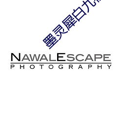 墨灵犀白九夜全文免费阅读 （细水长流）