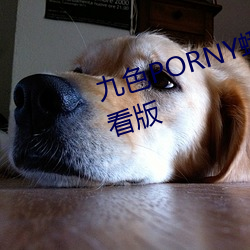 九色PORNY蝌蚪视频下载免费观看版 （海肠子）