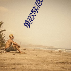 美欧禁忌电影 （柱石）