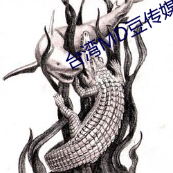 台灣MD豆傳媒一區二區