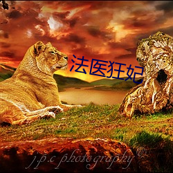 法医狂妃 （扫帚）