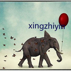 xingzhiyin