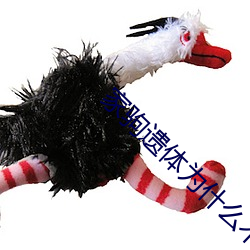 家驹遗体为(wèi)什么不让看(kàn)