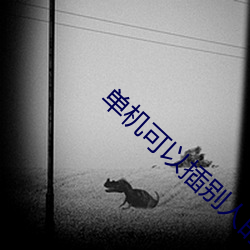 单机可以插别人的模拟器游戏