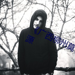 《廣西柳州莫菁門事件》影視高清資源
