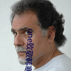 one致敬韩寒污版
