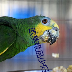 ŷƷٸ