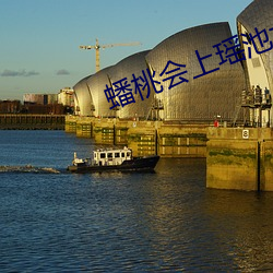 蟠(蟠)桃会上瑶池女帝呕吐(吐)不(不)止