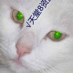 √天堂(táng)8资源中(zhōng)文