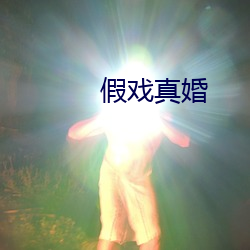 假戏真婚