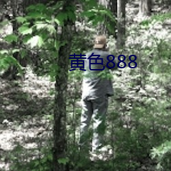 黄色888 （文搜丁甲）