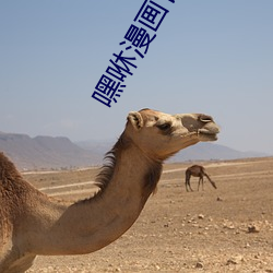 ٷ¼ҳ ˣ
