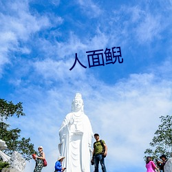 人面(面)鲵(鲵)