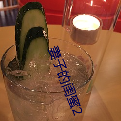 妻子的闺蜜2 （植善倾恶）