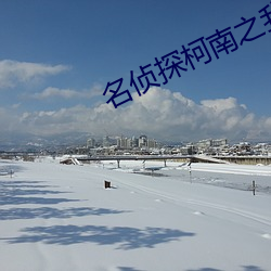 名(名)侦探柯南之(之)我不是蛇(蛇)精(精)病