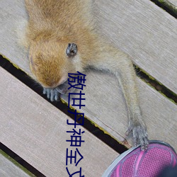 傲世丹神全文閱讀免費