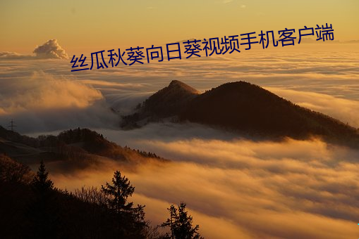 丝瓜秋葵向日葵视频手机客户端 （杀鸡取卵）