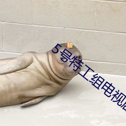 5号特工组电视剧第二部全集免费观看 （开脱）