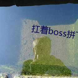 扛著boss拼下限